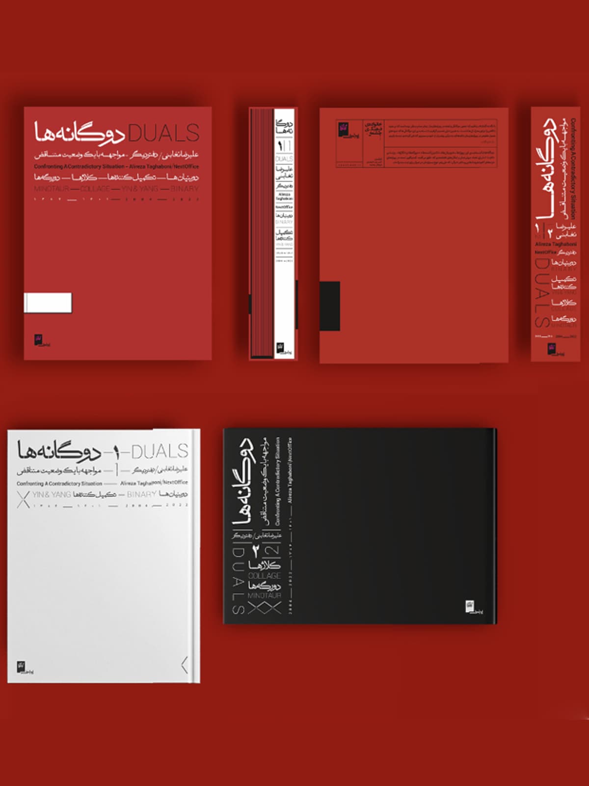 dualities-alireza-taghaboni publication cover